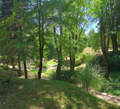 IMG_20240527_121506481_HDR-min