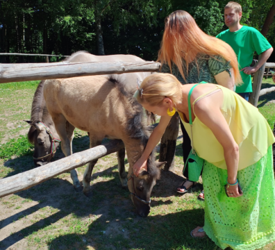 IMG_20240527_124122052_HDR-min