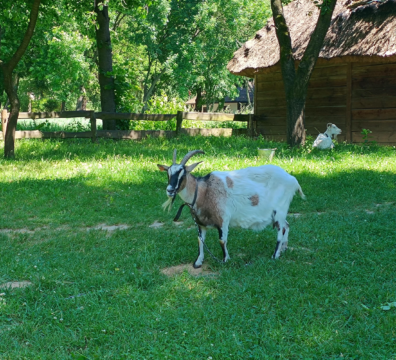 IMG_20240527_131640222-min