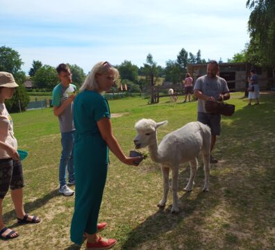 IMG_20240619_101128133_HDR