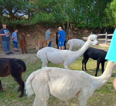 IMG_20240619_101146154_HDR