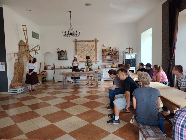 Read more about the article Regionalne Muzeum Cebularza