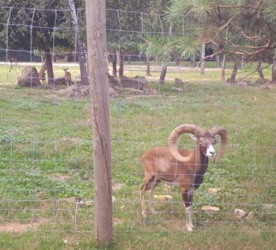 IMG_20240730_121047972