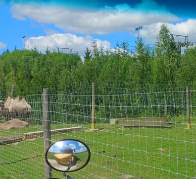 IMG_20240730_122654906