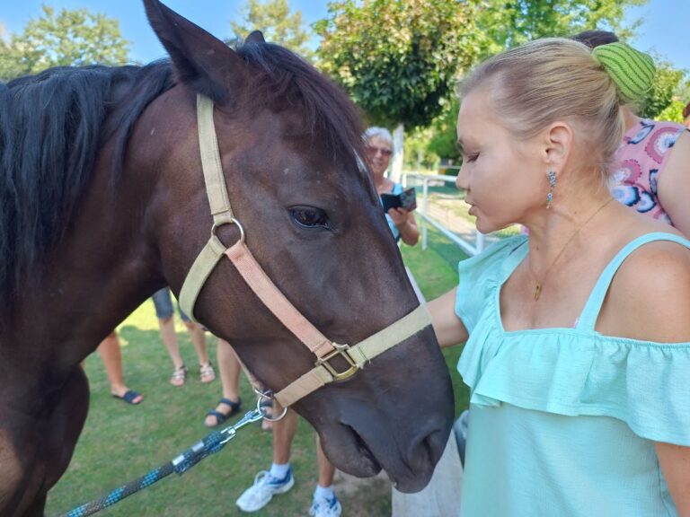 Read more about the article Zajęcia z Hipoterapii