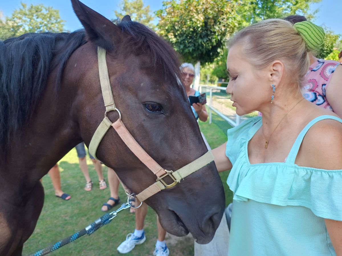 Read more about the article Zajęcia z Hipoterapii