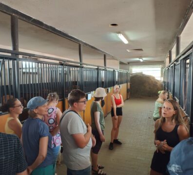 IMG_20240828_131539727_HDR