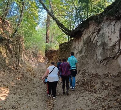 IMG_20240918_120839090_HDR