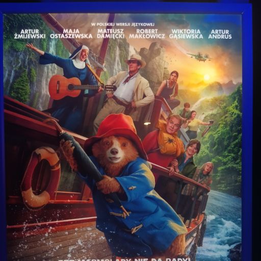 Read more about the article Wyjście do Multikina