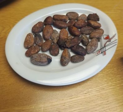 IMG_20250204_105933727