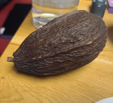 IMG_20250204_105937960_HDR