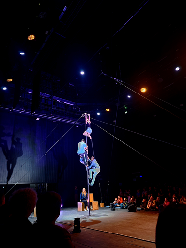 Read more about the article Cyrkulacje