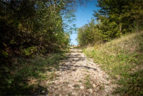 Mikolaj Fidler P1010653bm