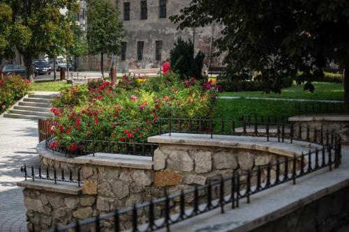 Adrian Zadurski DSC 7209bm