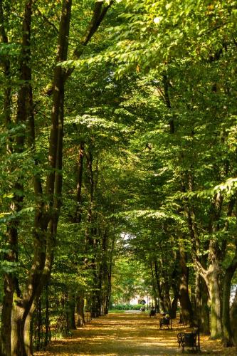 Mikolaj Wawrzenczyk IMG 8783bm