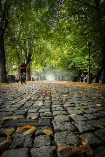 Magdalena Radio P1020611bm